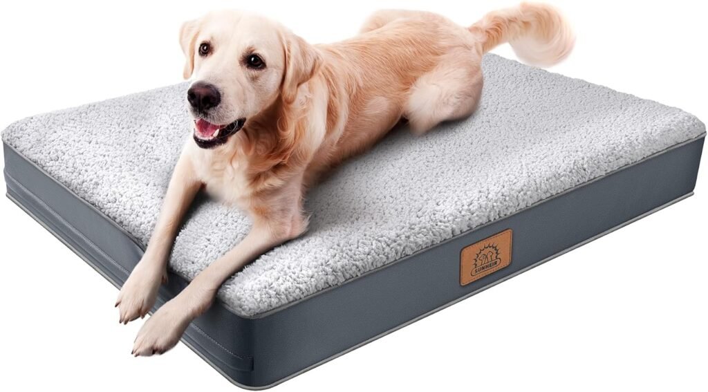 orthopedic bed