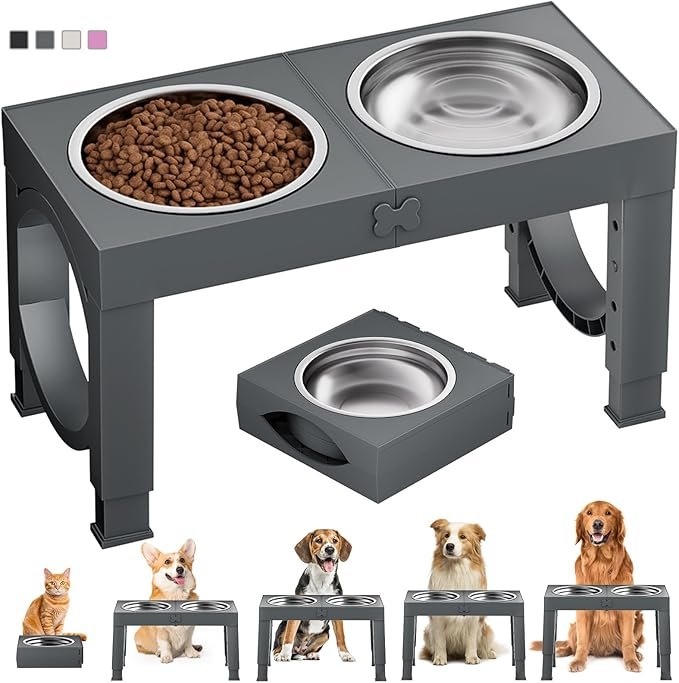 elevated food bowl