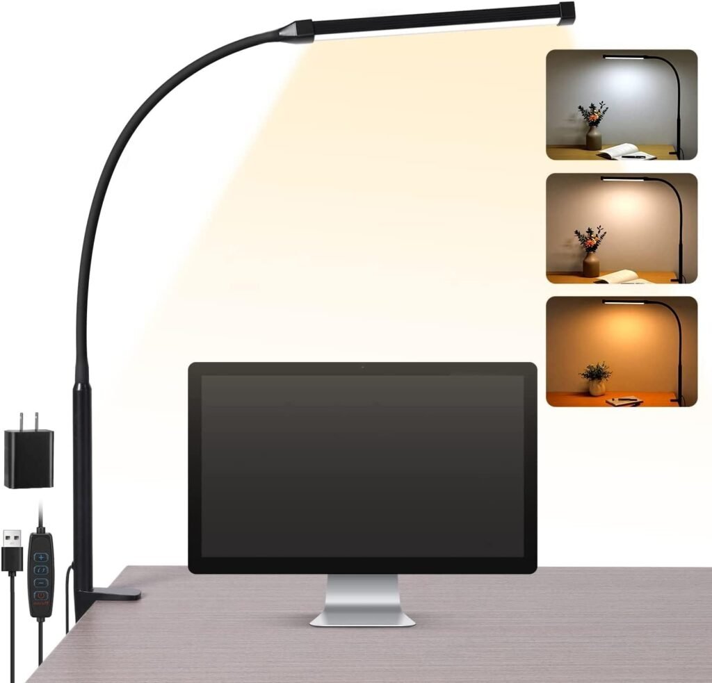 LED Desk Lamp