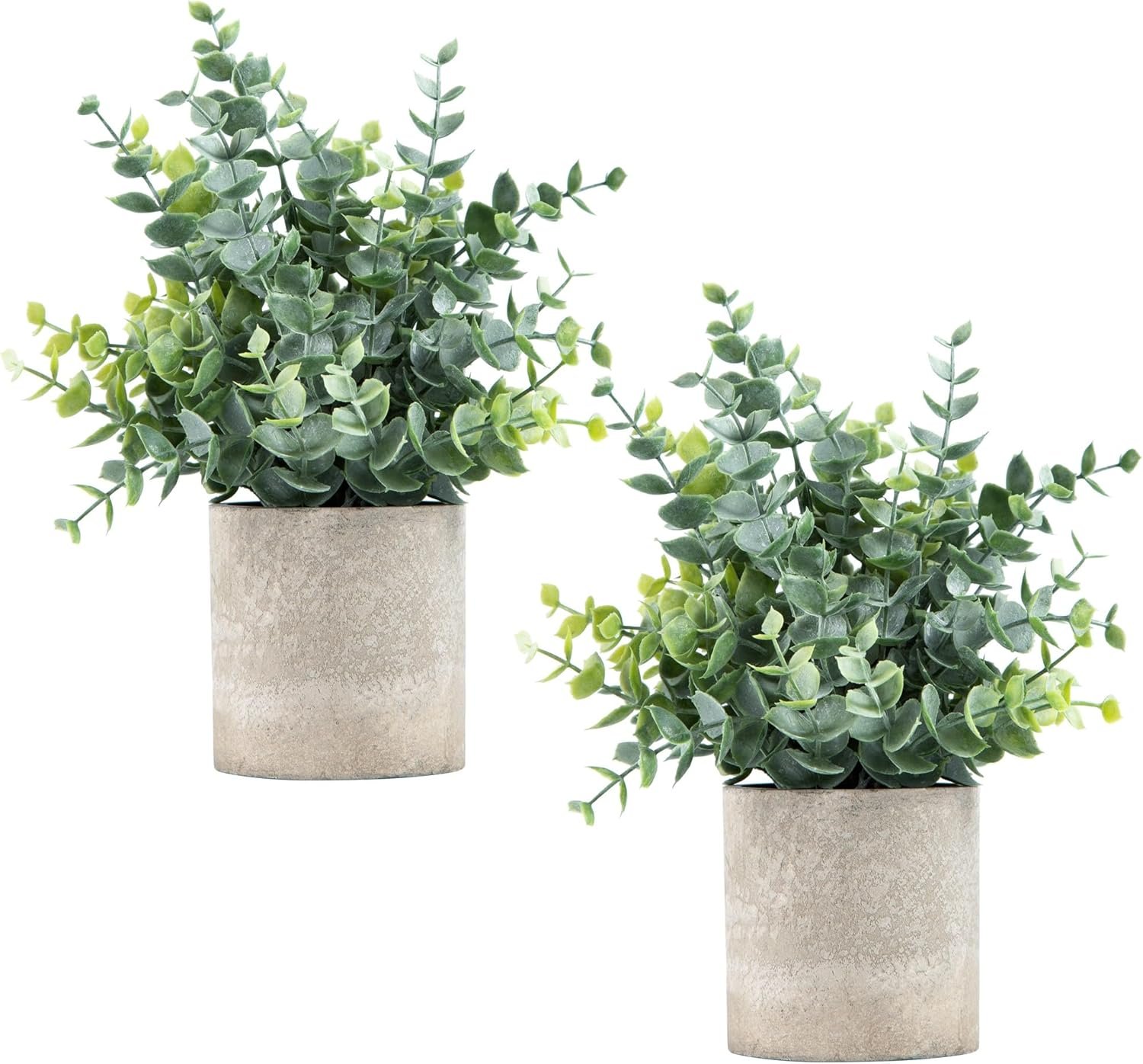 vase with greenery